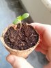 20140613_201811.jpg