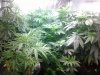 20140620_081817.jpg