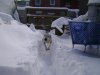 DSC01133.JPG