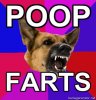 Misogyny-Dog-POOP-FARTS.jpg