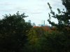 Boston from Park2.jpg