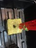 image3.jpeg