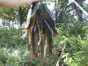 downsized_0706140844a.jpg