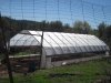 light dep greenhouse 3-12-2014 002.JPG