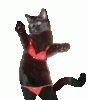 3black_cat_dance[1].gif