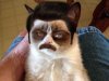 Grumpy-Cat by sir green thumb Brandon.jpg