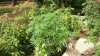 100_1819.JPG