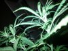 20140818_163448.jpg