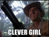 53180-Clever-girl-FcMG.jpeg