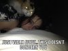 cats-rape-635944.jpeg