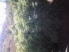 IMG_20140828_160439.jpg