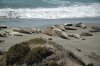 Morro Bay Sept-2014 022.JPG