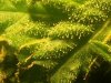 20140916_193134.jpg
