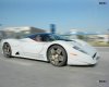 farrari 2.jpg