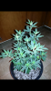 Screenshot_2014-10-04-19-09-06.png