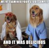 Dog-Doctors-Stool-Sample.jpg