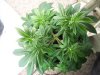 The Babies! 153.jpg
