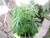 The Babies! 161.jpg