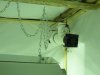 DSC02793.JPG