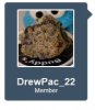 drewpac22.jpg