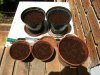 grow journal 123.jpg