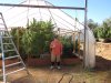 greenhouse 10-8-2014 007.JPG