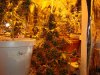 DSC01607.jpg