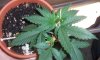 100_0391.jpg