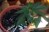 100_0392.jpg