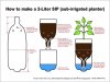 container-self-watering-bottle.jpg