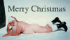 santaFunny20Santa20Clause.gif