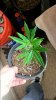20150107_224340.jpg