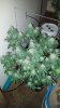 20150112_121732.jpg