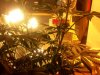 100_2798.jpg