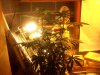 100_2799.jpg