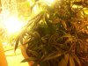 100_2803.jpg