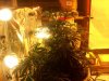 100_2805.jpg