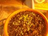 100_2806.jpg