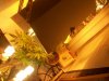 100_2810.jpg