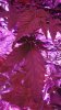 DSC00767.JPG
