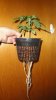 DSC00774.JPG