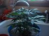 100_2818.jpg