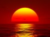 sunset-big-orange-sun-setting-over-ocean.jpg