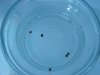 DSC02039.jpg