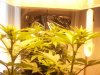 100_2845.jpg