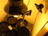 Picture 012.jpg