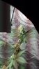 20150313_114945.jpg