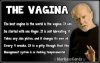The-vagina-funny-ecard.jpg