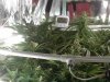 20150323_124017.jpg