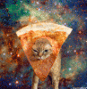 cat-in-space-pizza-gif.gif